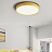 Светодиодные плоские потолочные светильники KIER 60 см  Желтый фото 9