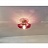 Потолочная люстра в виде цветка Orion Lu фото 22