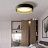 Потолочный светильник в индустриальном стиле с регулировкой цветовой температуры CASING C 38 см   Черный фото 14