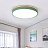 Цветные плоские светодиодные светильники в эко стиле DISC DH 48 см  Зеленый фото 2