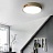 Светодиодный потолочный светильник в американском стиле RANGE 3 42 см  Каштановый фото 7