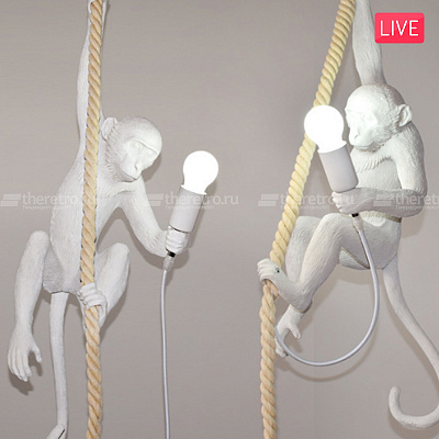 Настенный светильник Monkey Lamp фото 20