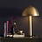 Настольная лампа Sidnie Lamp фото 8
