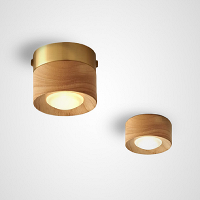 Точечный свет WOODSPOT LIGHT Встраиваемый фото 6